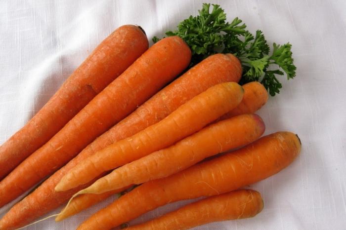 πότε να σπείρουν τα καρότα