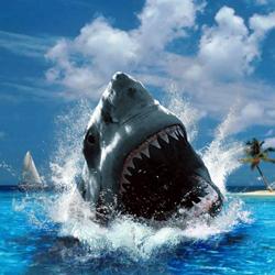 Ερμηνεία όνειρο: ένας καρχαρίας είναι ο χειρότερος εχθρός του ανθρώπου!