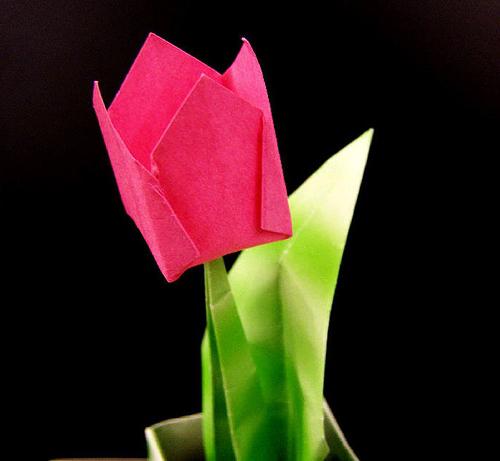 Λουλούδια από χαρτί με τα χέρια μας - δημιουργήστε μια αιώνια ανθοδέσμη