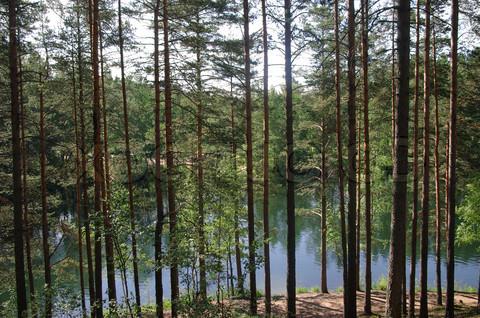 Οι λίμνες της περιφέρειας του Λένινγκραντ θα σας χαρίσουν αξέχαστες διακοπές