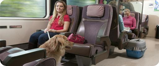 Πηγαίνοντας στις διακοπές: κανόνες για τη μεταφορά των ζώων στο τρένο